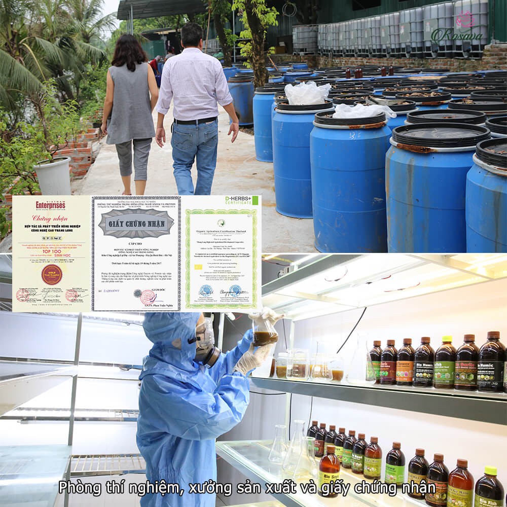 Bộ chế phẩm sinh học Protect phòng nhện, bọ trĩ, rệp, sâu ROSAVA cho cây cảnh gồm dầu neem oil, thảo mộc &amp; tỏi đậm đặc