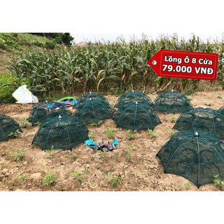 Lồng ô bát quái đánh bắt cá 8 cửa bắt tất cả loại cá