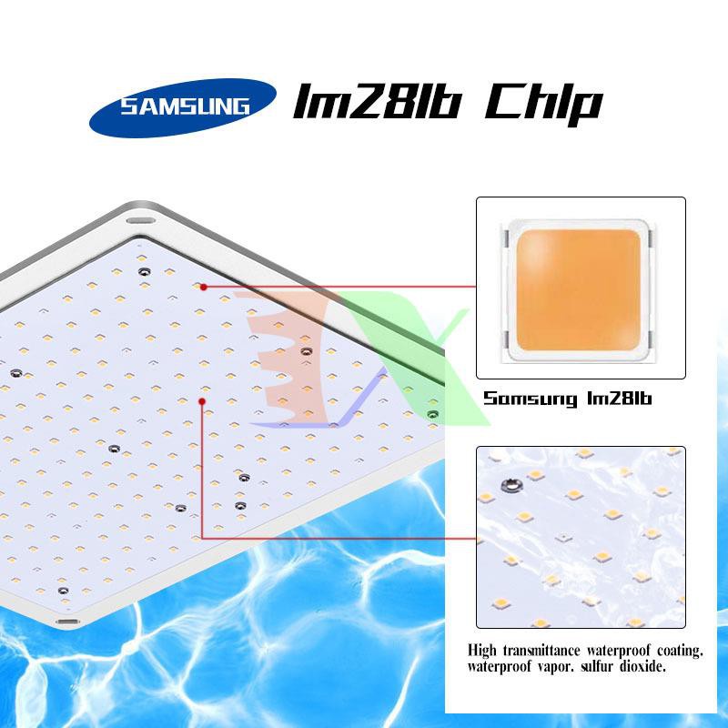 Đèn trồng cây Lượng tử QBC1000, Led grow lights chip Samsung 1000W, Đèn trồng rau trong nhà