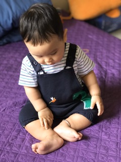Sét yếm khủng long