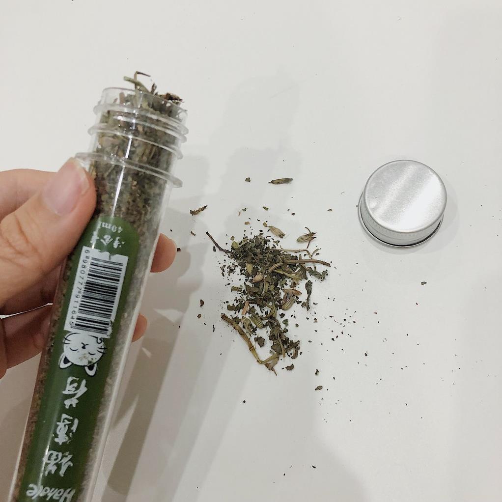 CỎ BẠC HÀ MÈO - CATNIP NHẬP MĨ 40ML - VIDEO TỰ QUAY