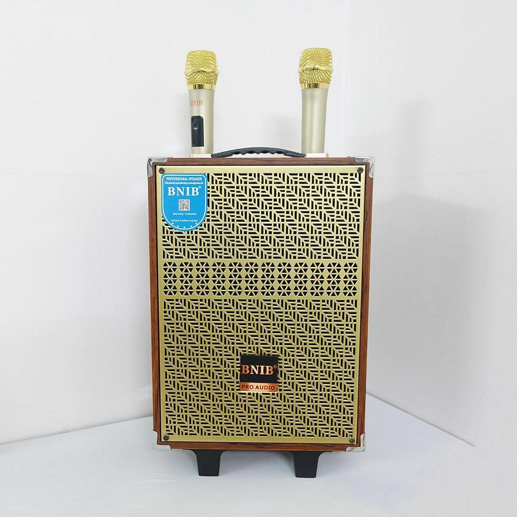 Loa kéo hát karaoke BNIB M9 bass 20 vỏ gỗ, kèm 2 tay micro không dây