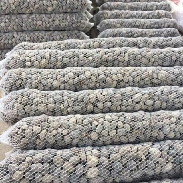 PHÂN DÊ  BÓN LAN VÀ CÁC LOẠI CÂY TRỒNG -