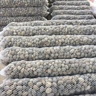 PHÂN DÊ  BÓN LAN VÀ CÁC LOẠI CÂY TRỒNG -