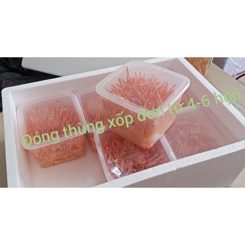 5 hộp Đông trùng hạ thảo tươi 180gr giao hàng toàn quốc [ chính hãng ] freeship toàn quốc bảo hành 1đổi 1 | BigBuy360 - bigbuy360.vn