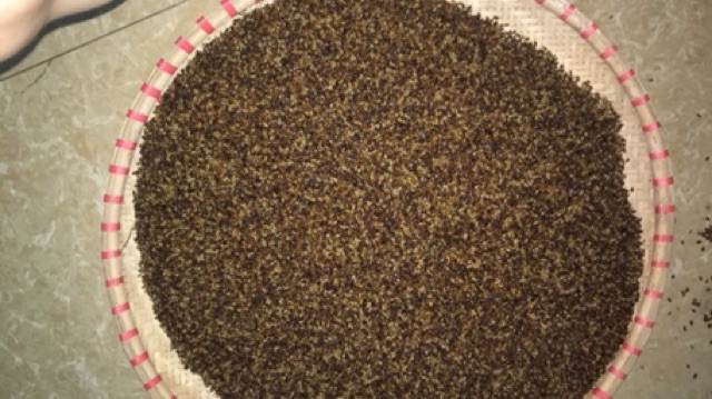 7kg hạt muồng chơi cho trẻ em