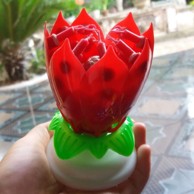 Combo 10 nến 3D sinh nhật
