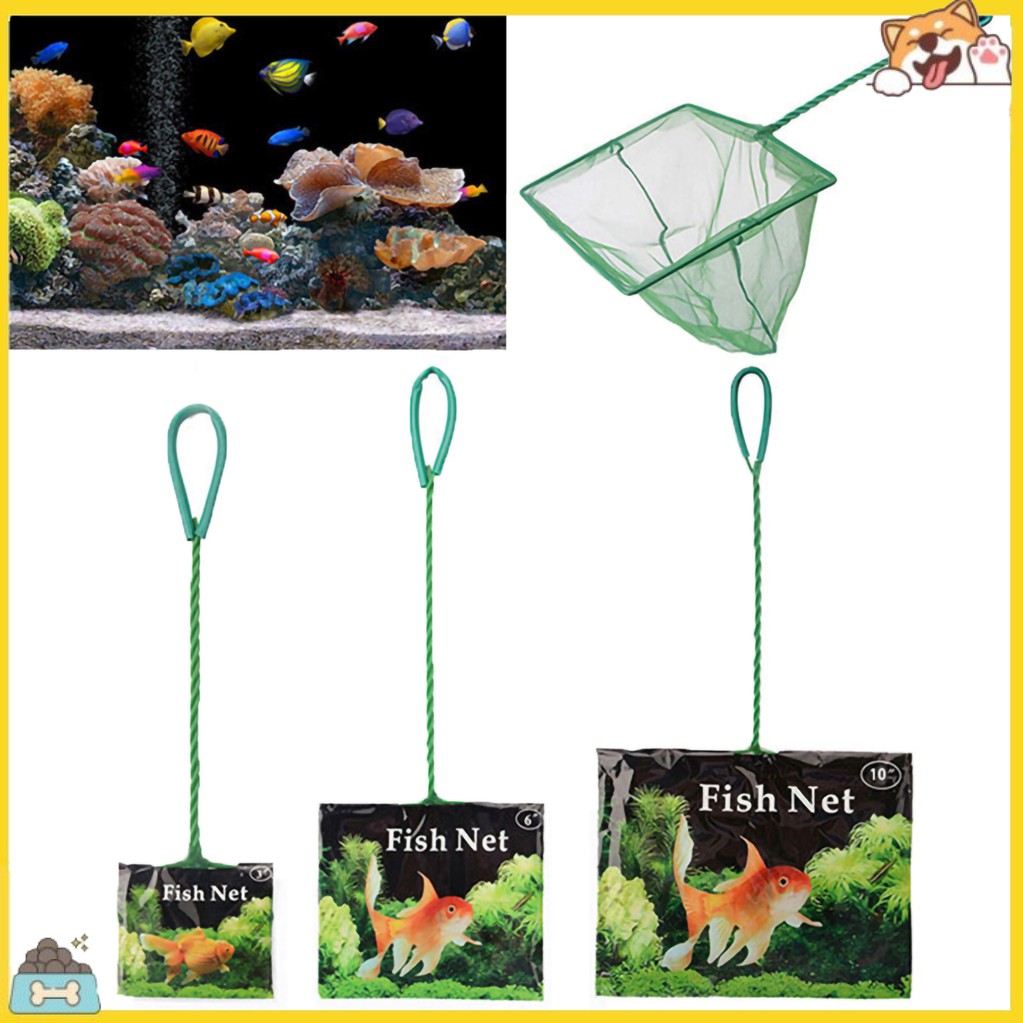 Vợt lưới mịn bắt cá tiện lợi