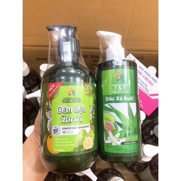 Combo dầu gội và dầu xả bưởi T&T Beauty