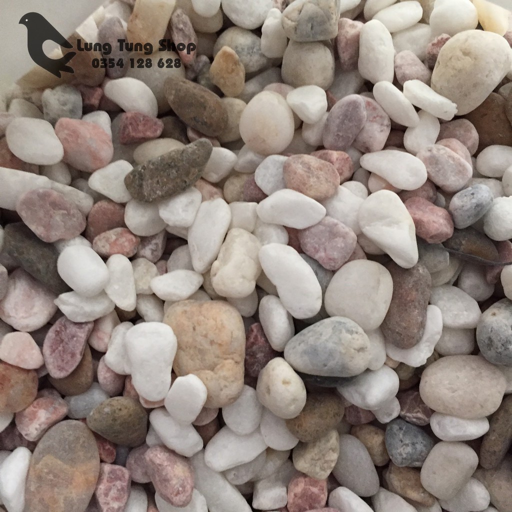1 kg đá sỏi hỗn hợp size trung dùng trang trí sân vườn hố cá