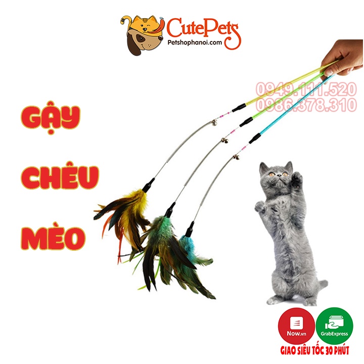 Đồ chơi cho mèo, Gậy vờn mèo lò xo gắn lông vũ 55cm - Phụ kiện thú cưng Hà Nội