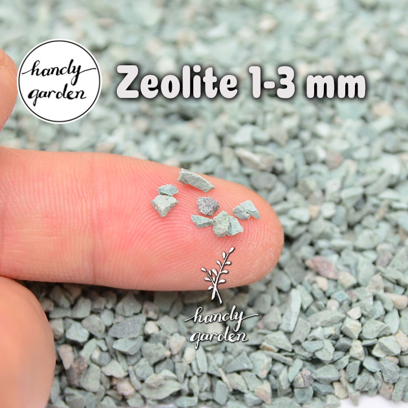 Đá khoáng ZEOLITE Rải mặt chậu sen đá kiểng lá, lọc nước sạch bụi vụn trộn đất trồng giữ dinh dưỡng | Handy Garden