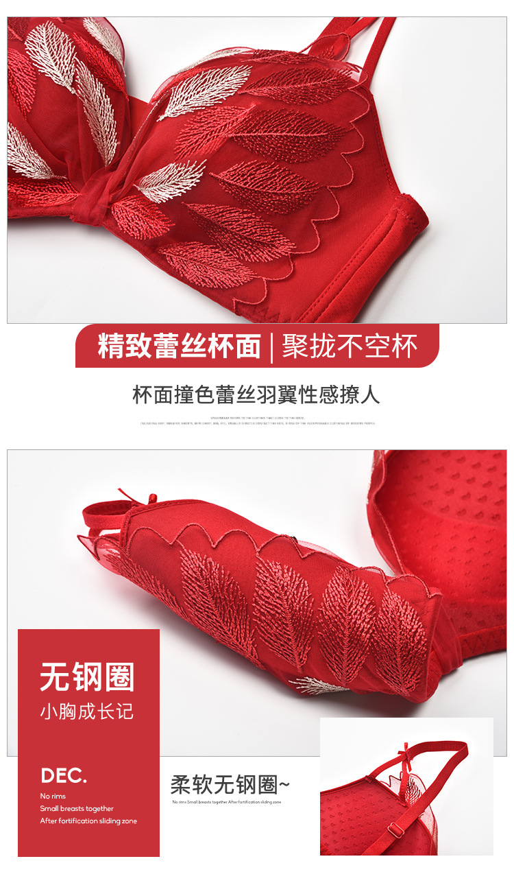 Bộ Đồ Lót Phối Ren Thêu Họa Tiết Xinh Xắn Dành Cho Nữ | BigBuy360 - bigbuy360.vn