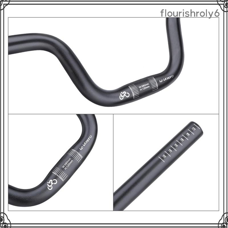 Tay Lái Xe Đạp Leo Núi flourishroly6 25.4mm 380 / 900mm Dài 600mm 30mm