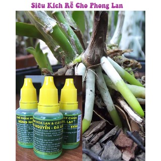 chế phẩm sinh học Hùng nguyễn