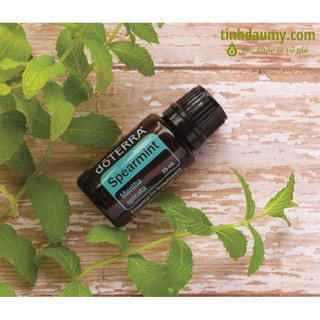 Tinh dầu Bạc Hà Lục doterra Spearmint 15mL