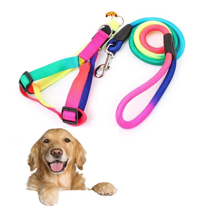 Dây dắt chó kèm yếm Loại dây 7 sắc sợi tròn size 1.5 dây xích phù hợp chó từ 7-20kg