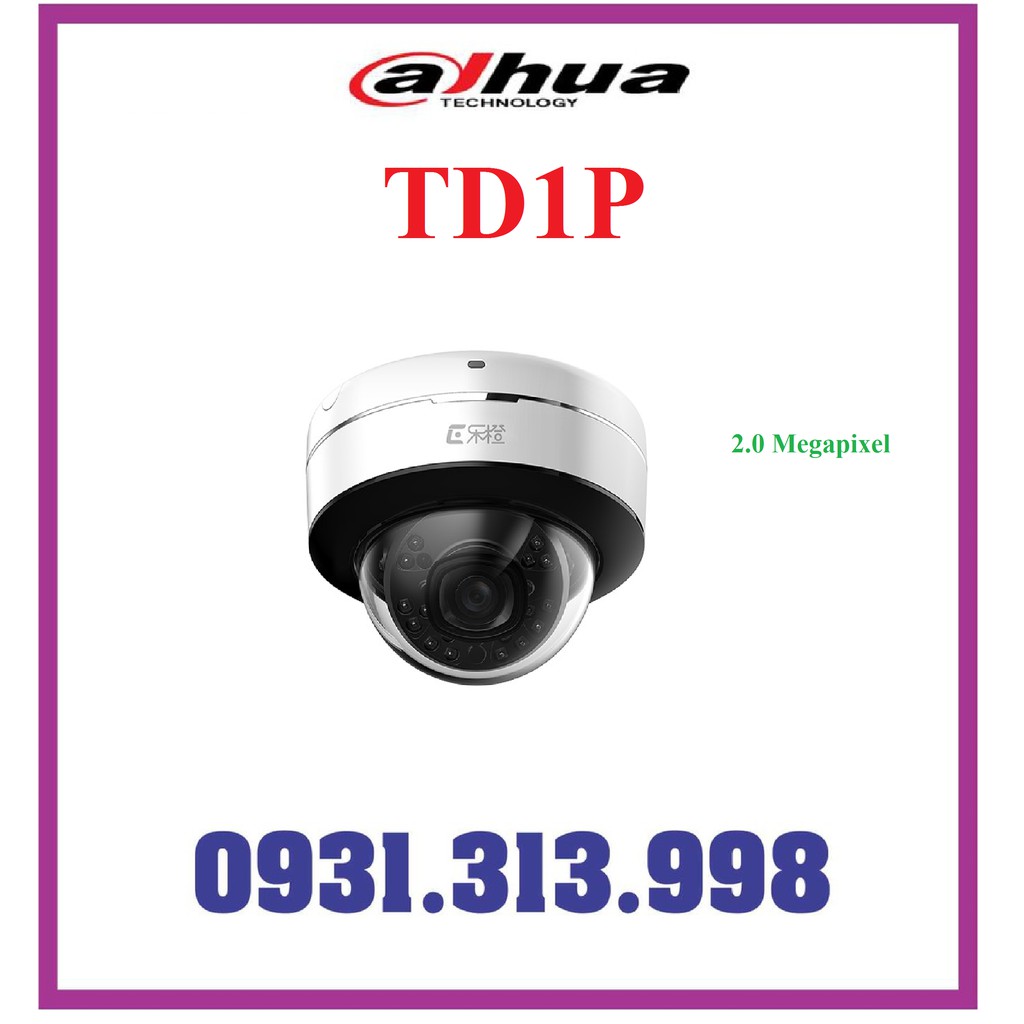 CAMERA IP  DAHUA TD1P 2.0MEGAPIXEL