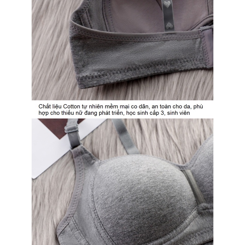 Áo bralette áo lót ngực nữ sinh không gọng đệm mỏng AL82 chất cotton thoáng mát phù hợp cho ngực nhỏ đang phát triển | WebRaoVat - webraovat.net.vn