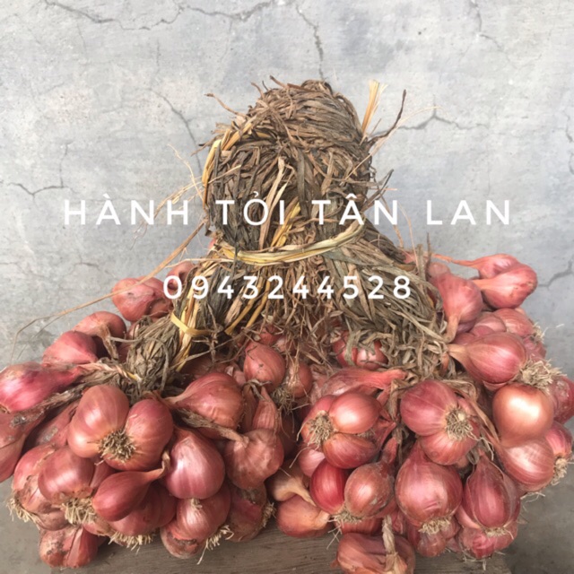 [Có sẵn] Hành khô - Tỏi khô - Kinh Môn Hải Dương