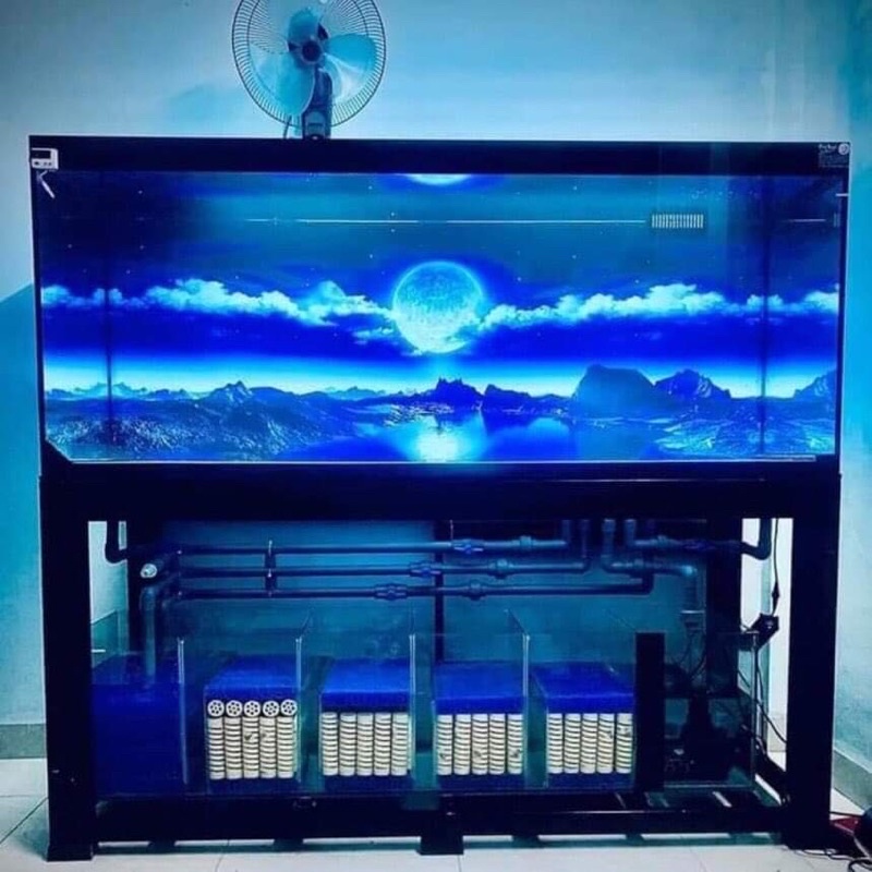 Tranh 3D dán hồ cá, bể thuỷ sinh mẫu ánh trăng đêm siêu đẹp và nét, có keo sẵn trên bề mặt, đa dạng kích thước