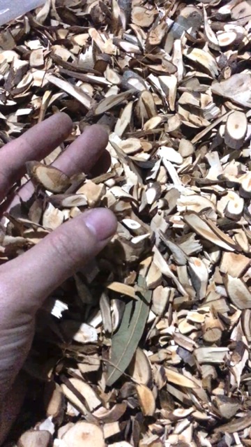 0,5 kg quế chi khô thơm, sạch, nguyên chất