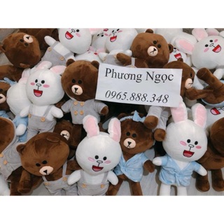 Gấu Brown và thỏ cony
