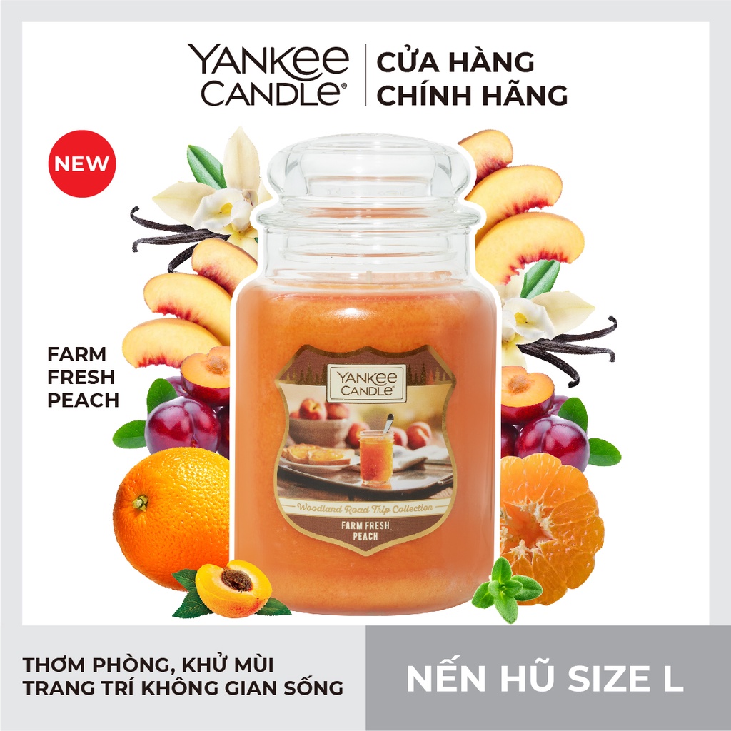 New Arrival - Nến hũ Yankee Candle size L - Farm Fresh Peach (623g)