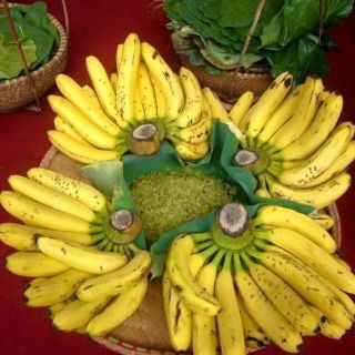 0,5kg Cốm Tươi non Hà Nội, Cốm Mộc non Mễ Trì làm từ lúa non nếp cái hoa vàng dẻo thơm