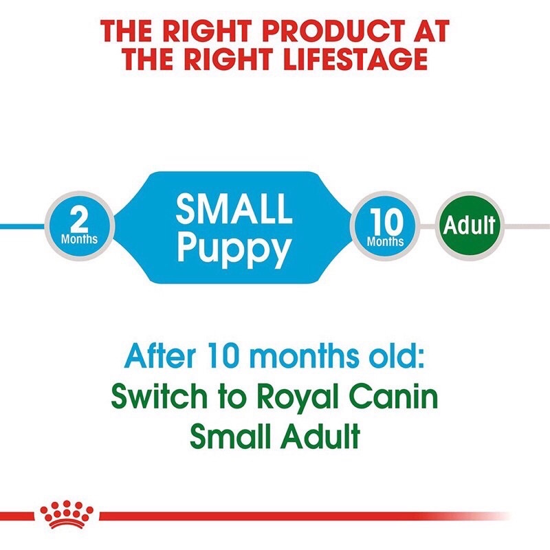 [Túi 2kg nguyên] Royal canin mini puppy/ mini adult thức ăn hạt cho giống chó nhỏ chó con hoặc chó trưởng thành