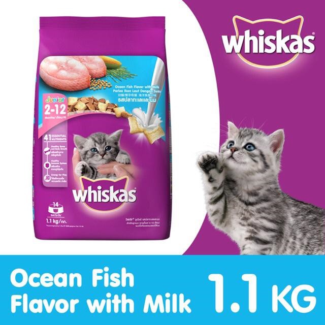 Thức ăn dạng hạt cho mèo con - WhisKas Junior (túi 1,1kg)