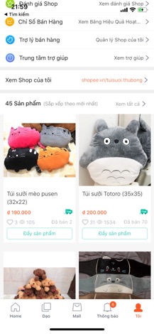 Túi sưởi totoro