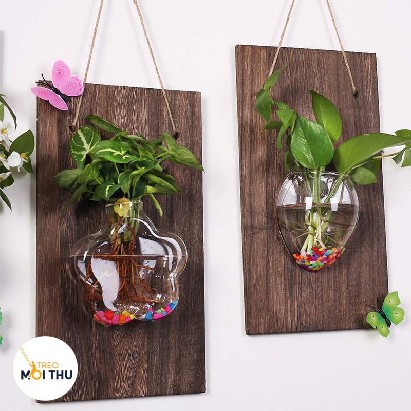 Bình Thủy Tinh Trồng Cây Thủy Sinh Treo Tường - Siêu Nhẹ - Treo Mọi Thứ