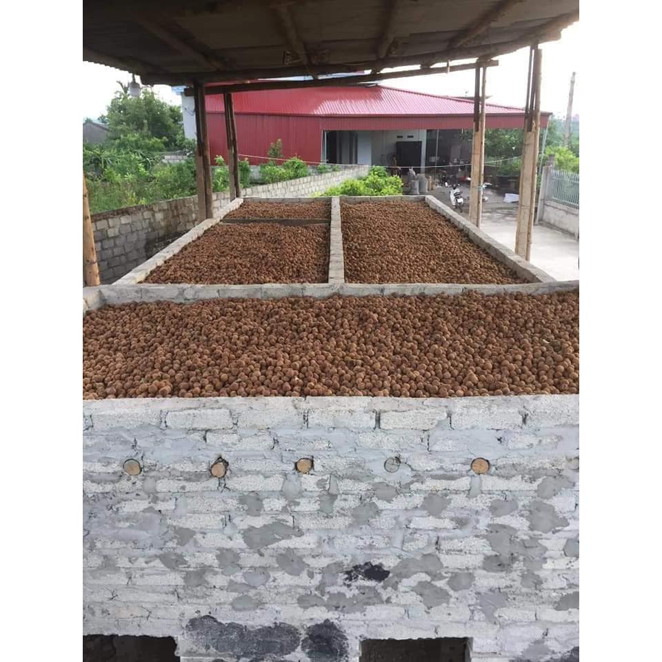 VẢI SẤY KHÔ BẮC GIANG LOẠI NGON túi 500gr