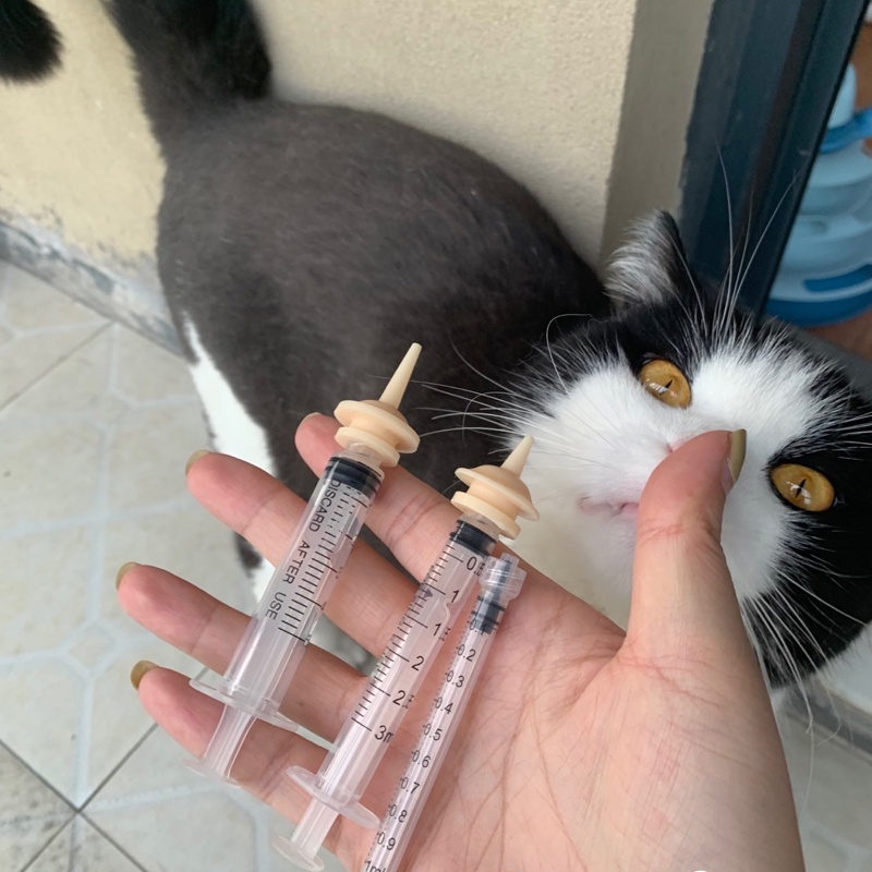 Núm ti silicone cho mèo, cún sơ sinh uống sữa, núm vú cho thú cưng