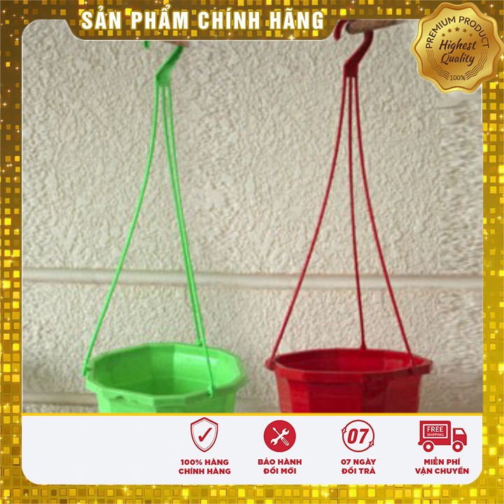 Hạt giống hoa Hạt giống rau củ quả các loại ( hatgionmienbac.com)