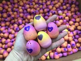 Trứng hatchimals