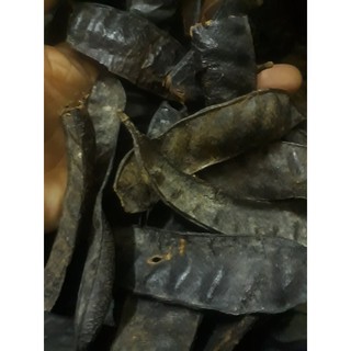 Bồ Kết Khô -1 KG