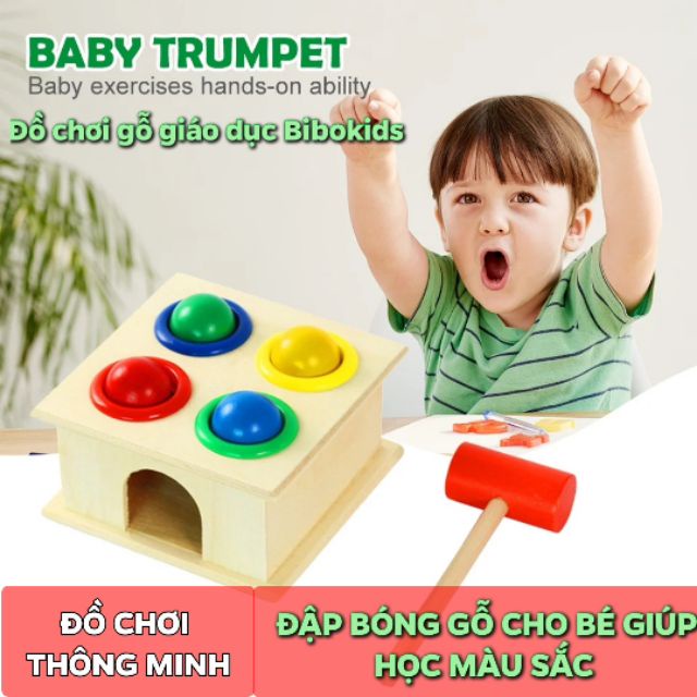 Đồ Chơi Gỗ Hộp Đập Bóng Cho Bé Nhiều Màu Sắc, Đồ Chơi Thông Minh Montessori Giúp Bé Nhận Biết