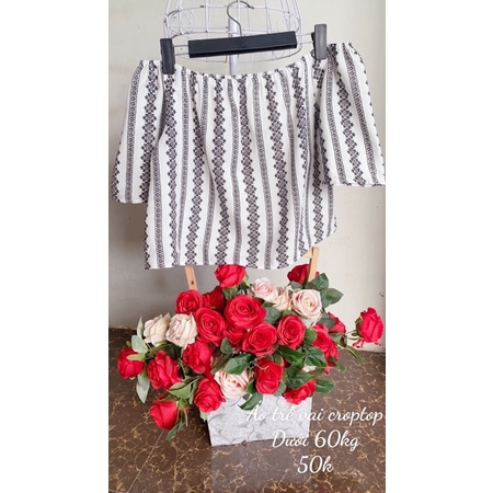 Áo vin dáng croptop