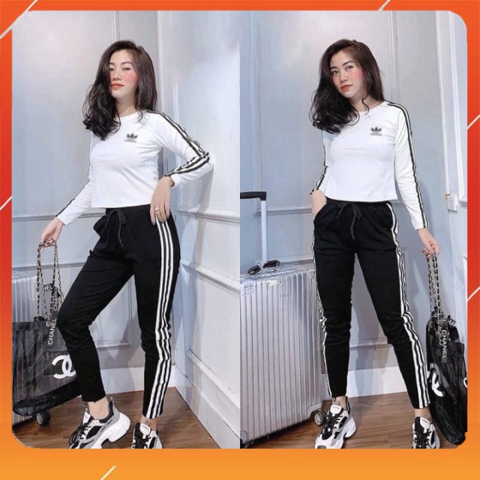 Bộ thể thao nữ cổ tròn dài tay phối viền