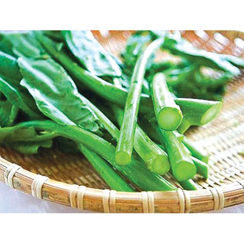 hạt giống rau cải ngồng xanh 20 gram