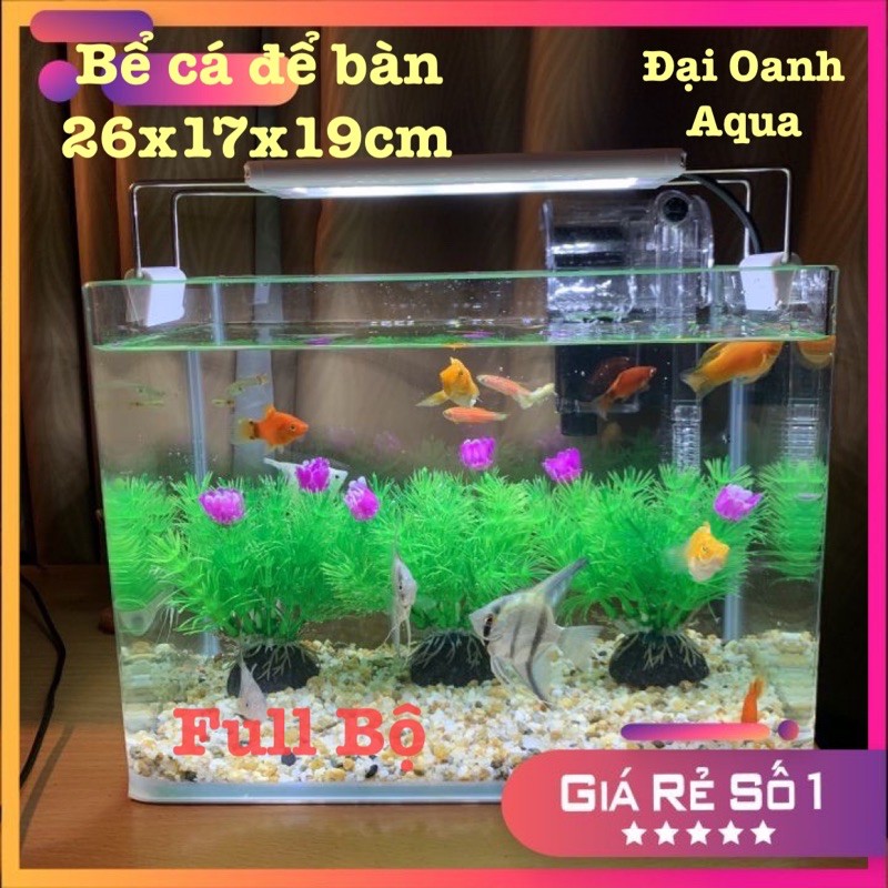 { RẺ VÔ ĐỐI } Bể Cá Thủy Sinh mini Để Bàn Đầy Đủ, Dài 26 cm - Bể Cá Cảnh Mini Trang Trí Đủ 5 Món