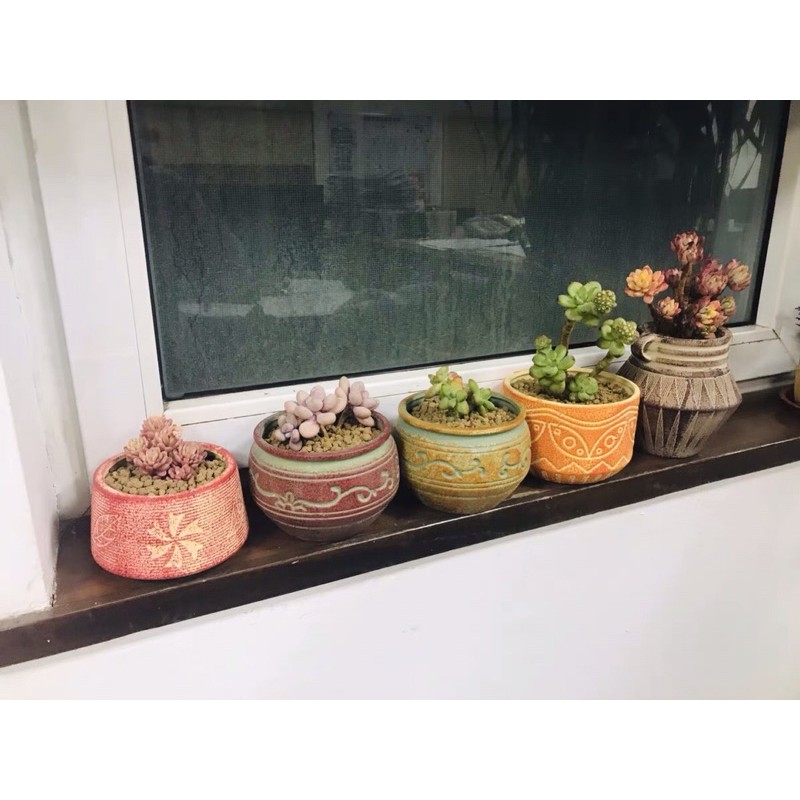 Sét chậu theo hình cao cấp