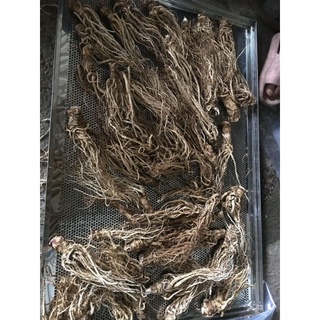 sâm đương quy khô 1kg