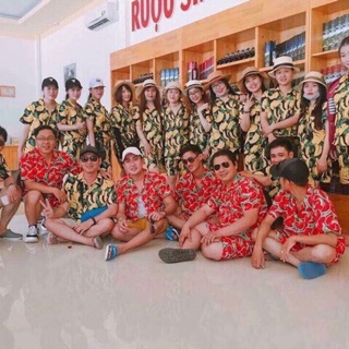 Bộ hoa quả cổ sơ mi đủ size