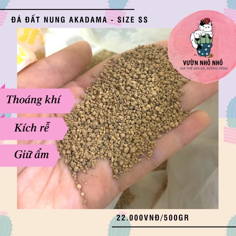 1Kg đất nung Nhật Akadama, chuyên dùng trồng sen đá, xương rồng, bonsai