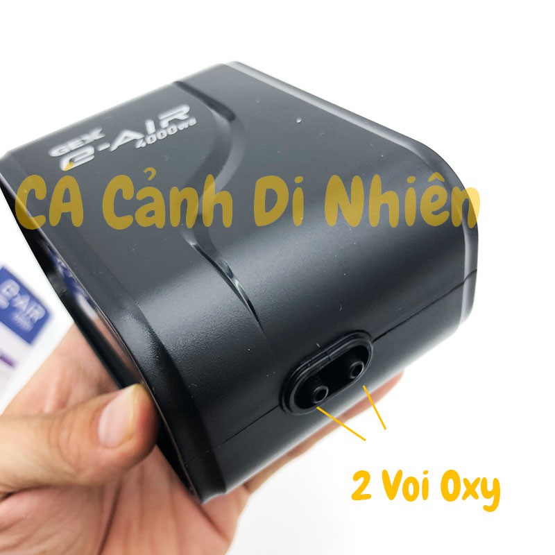 Máy sủi khí Oxy Siêu Êm 2 vòi Gex E-AIR 4000WB cho hồ cá