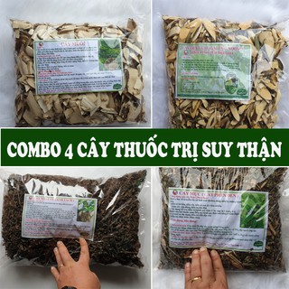 Bộ 4 cây (Muối,mực,nổ,quýt gai) Điều trị Suy thận, hư thận - 4KG