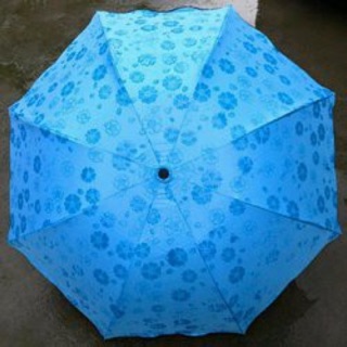 Ô gặp nước nở hoa